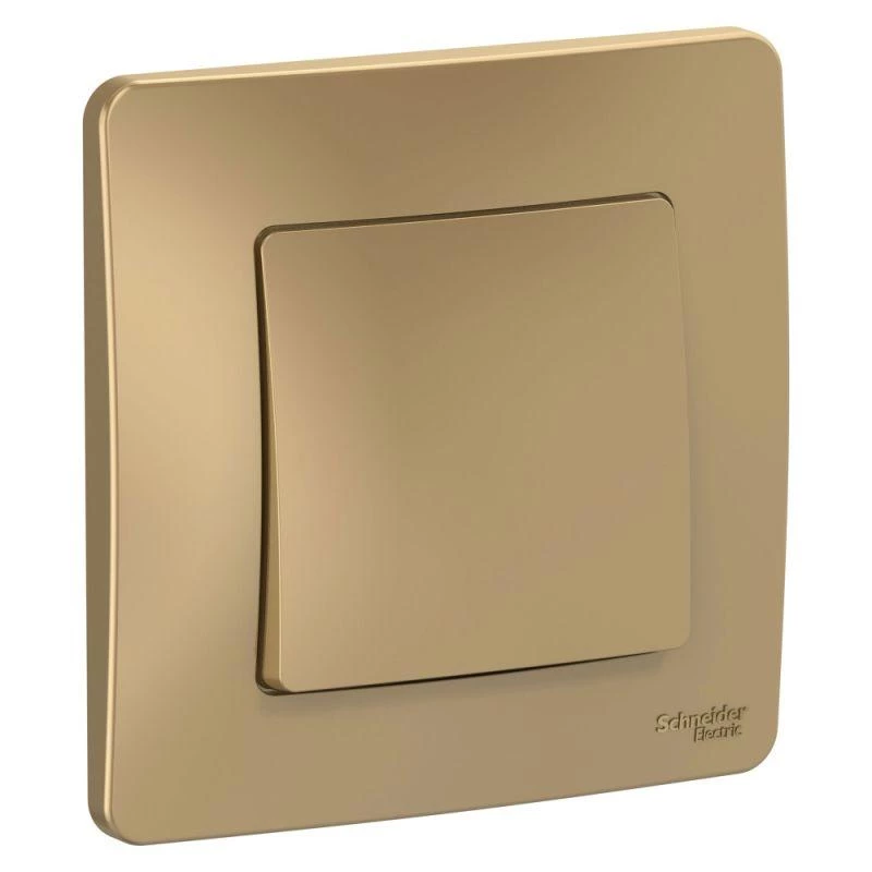 Фото Systeme Electric BLNVS010604