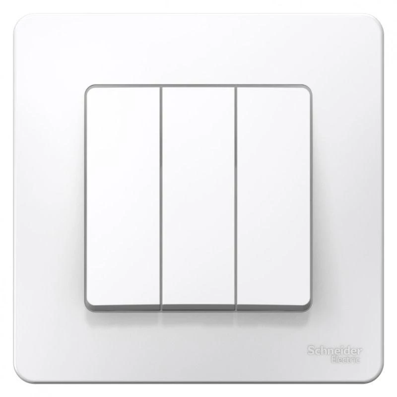 Фото Systeme Electric BLNVS100501