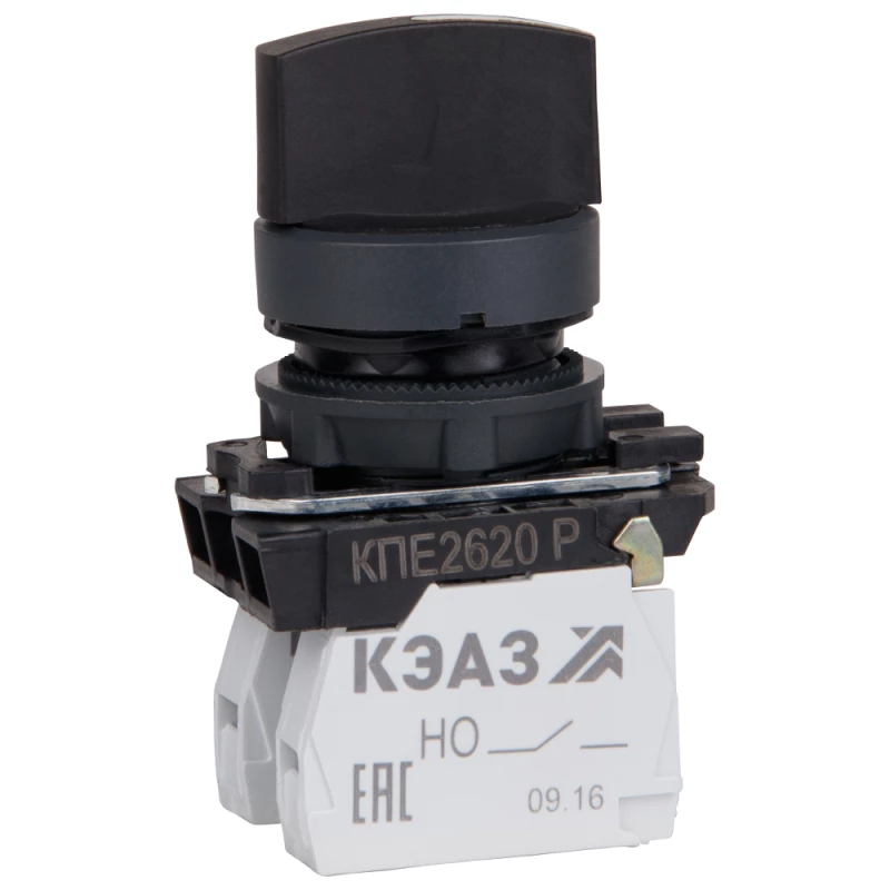 Фото КЭАЗ 248267