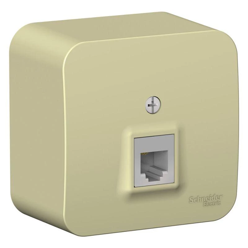 Фото Systeme Electric BLNIA011007