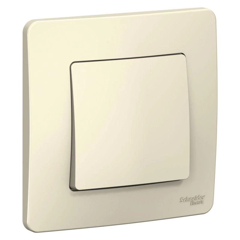 Фото Systeme Electric BLNVS010102