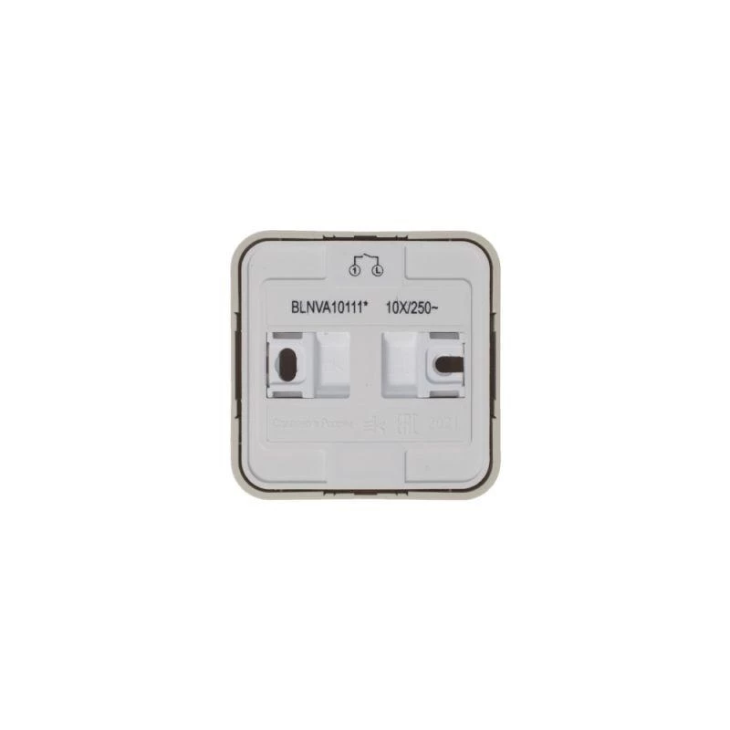 Фото Systeme Electric BLNVA101117