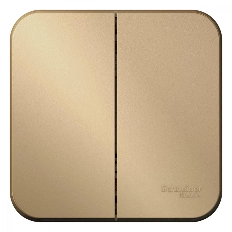 Фото Systeme Electric BLNVA105014