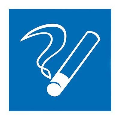 Rexant Наклейка место курения 100х100мм  56-0032