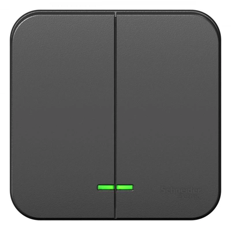 Фото Systeme Electric BLNVA105106