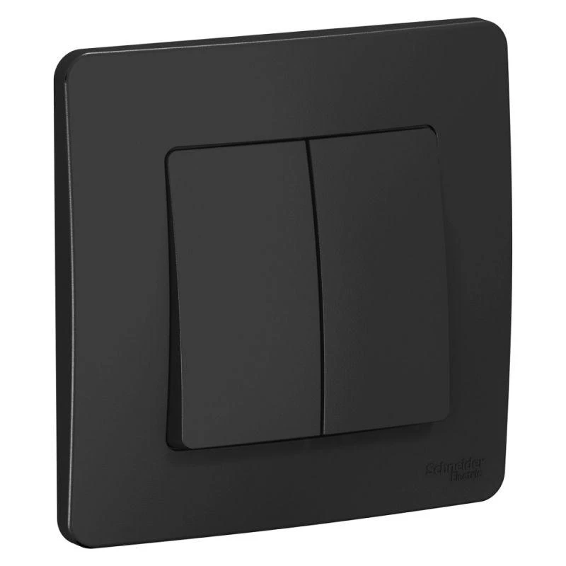 Фото Systeme Electric BLNVS106606