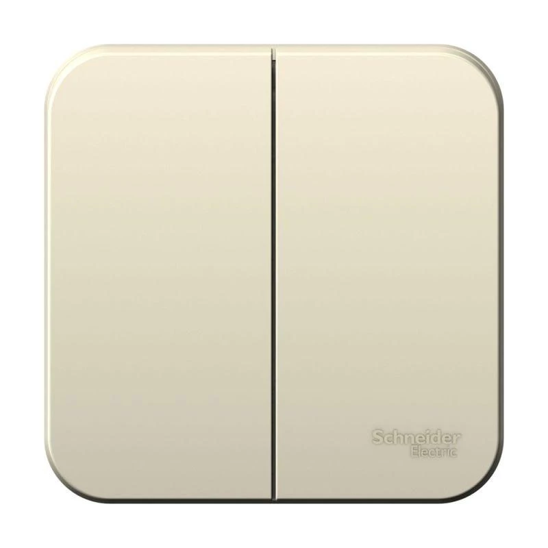 Фото Systeme Electric BLNVA105012