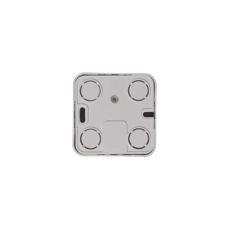 Фото Systeme Electric BLNTA000011