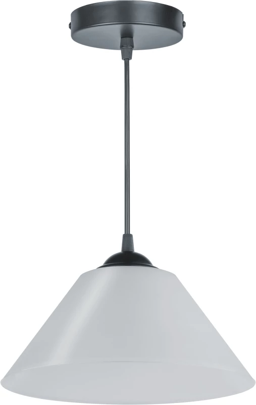 Фото NAVIGATOR 80411