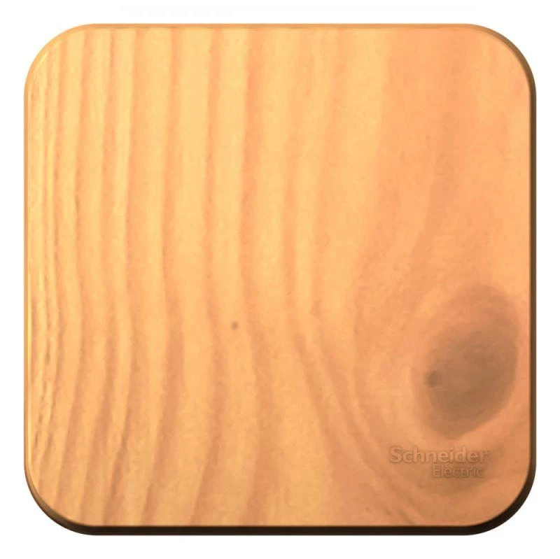 Фото Systeme Electric BLNVA106015