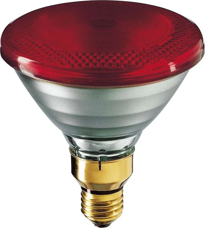 Фото PHILIPS 923801444210