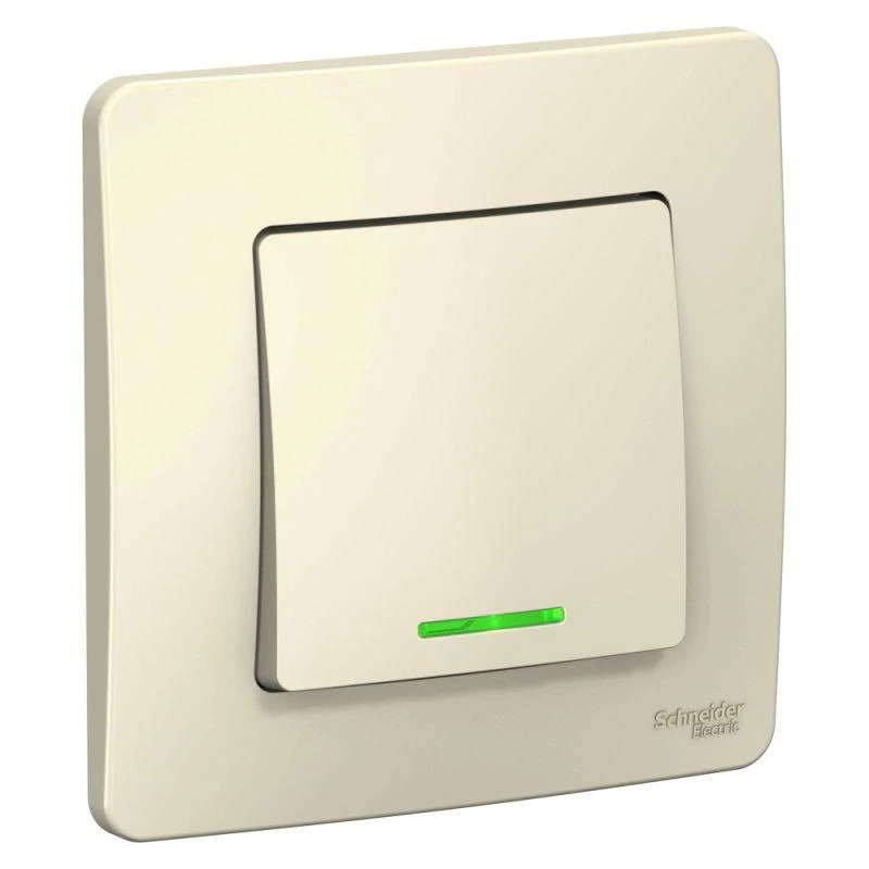 Фото Systeme Electric BLNVS006112