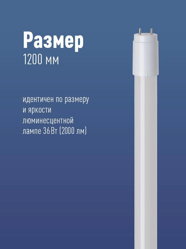 Фото КОСМОС Lksm_LED20wG13T865GL