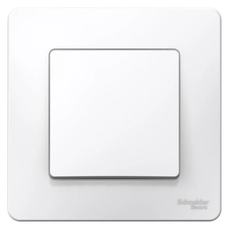 Фото Systeme Electric BLNVS010601