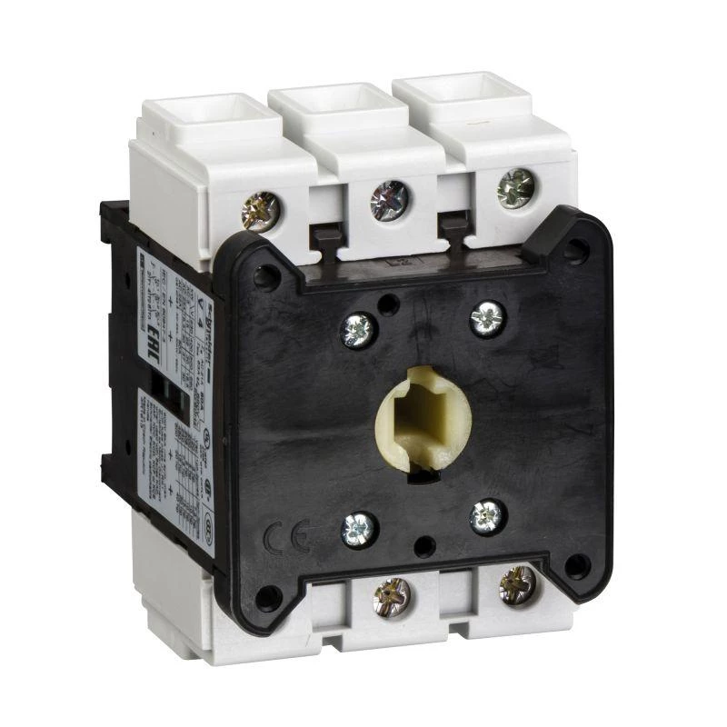 Schneider Electric Корпус выкл. разъединителя 80А Sche V4
