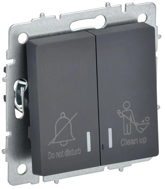 Фото IEK BR-V20-2-10-K53