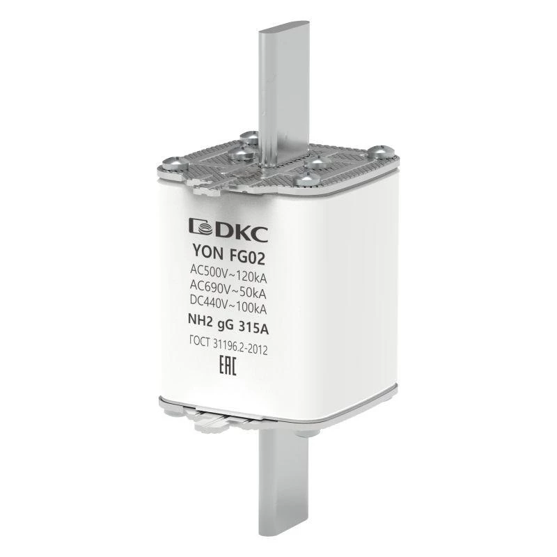 Фото YON (группа DKC) 1FG02-0315