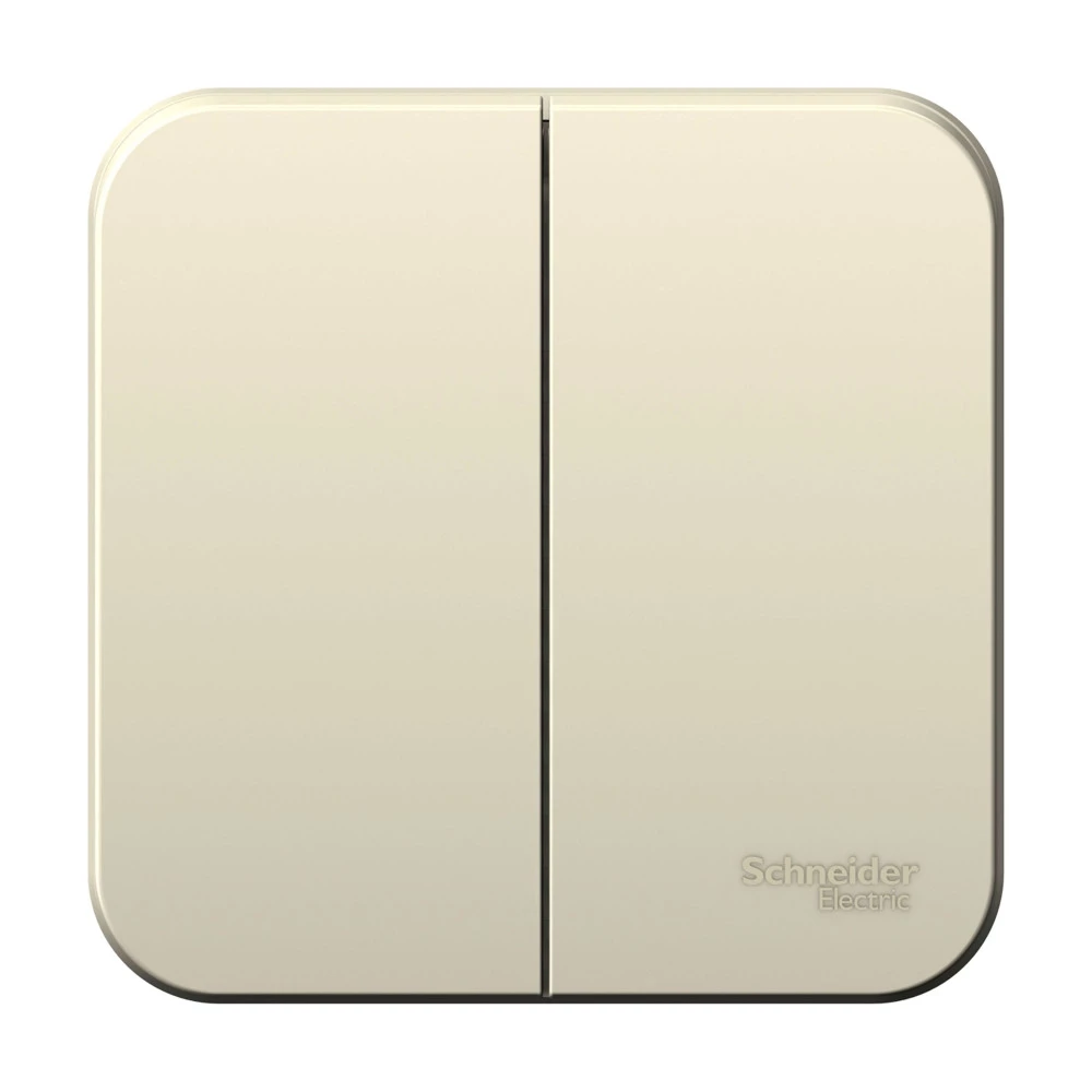 Фото Systeme Electric BLNVA065012