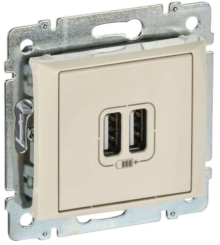 Legrand (группа IEK) Розетка USB 2-м СП Valena сл. кость Leg 774170