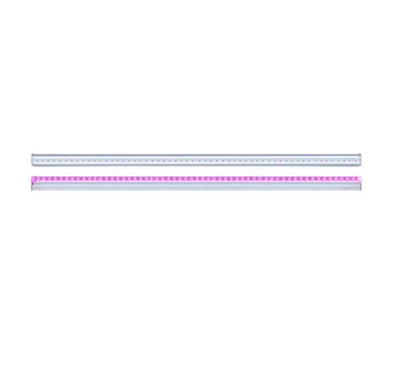 Фото JazzWay 5026032