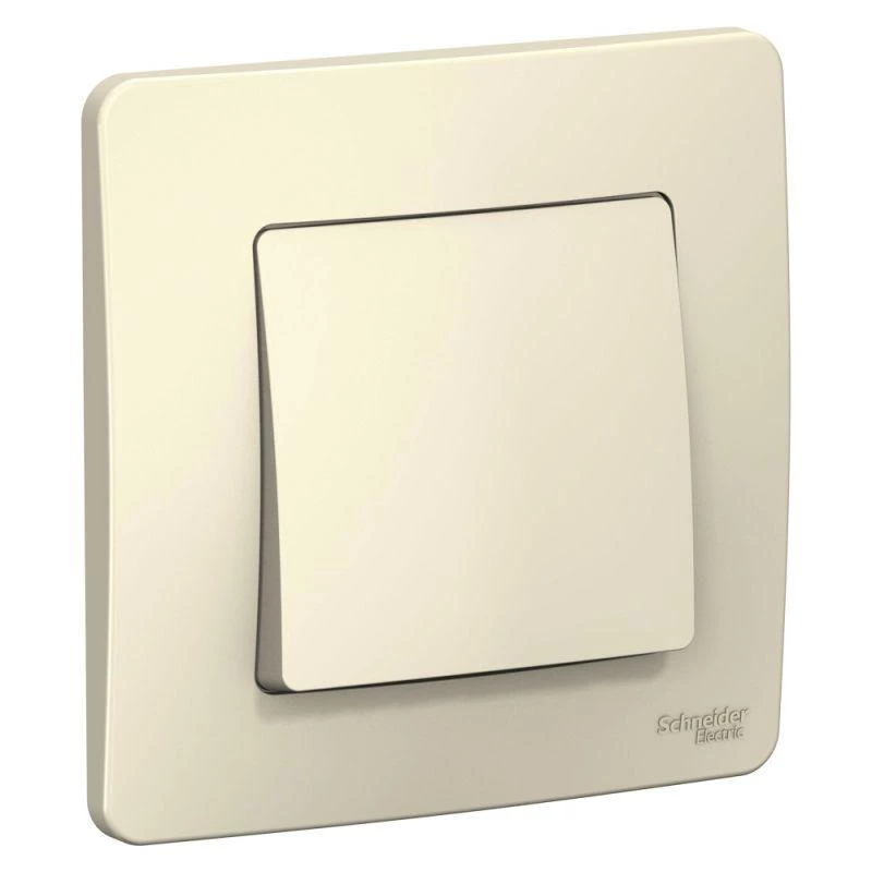 Фото Systeme Electric BLNVS006102