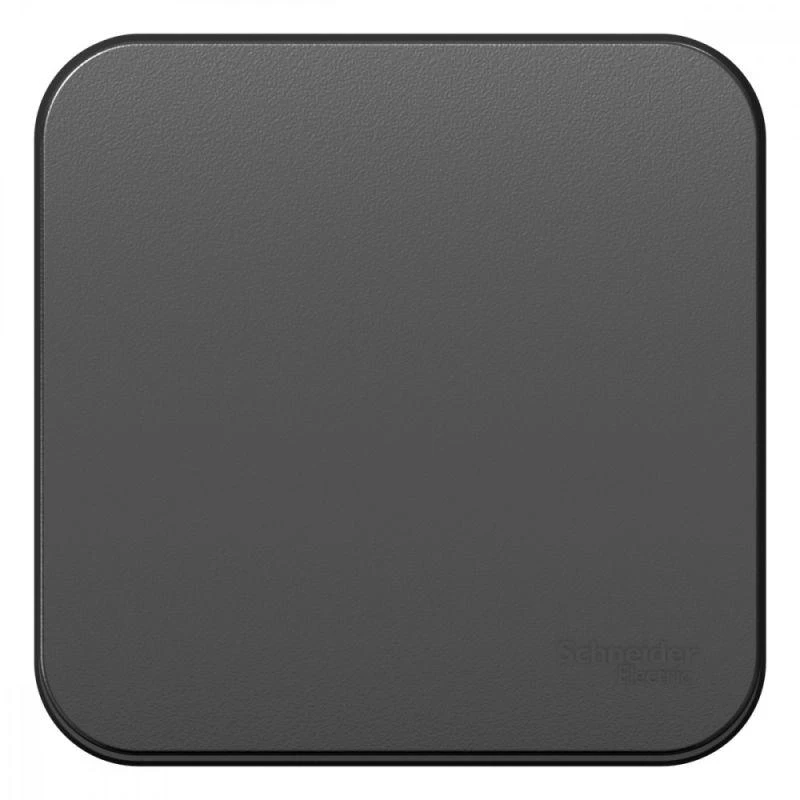 Фото Systeme Electric BLNVA101016