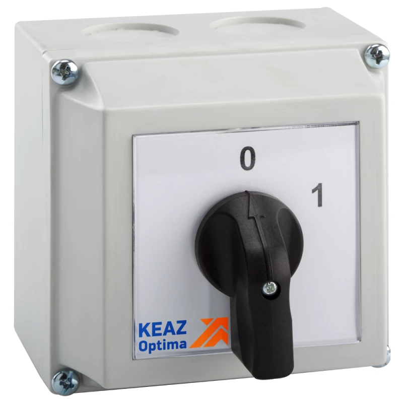 Фото КЭАЗ 231155