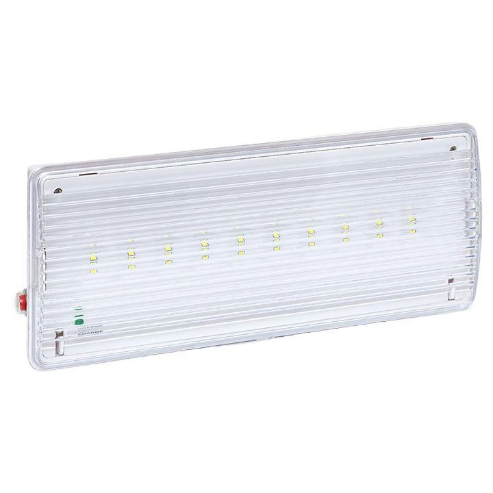 Фото EKF dpa-203