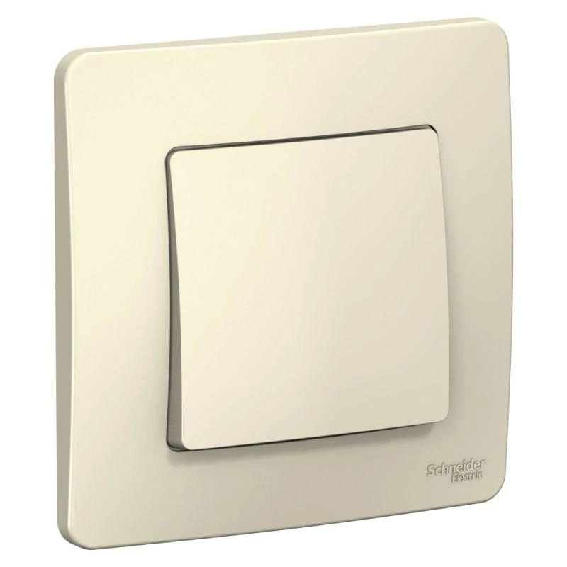 Фото Systeme Electric BLNVS010602