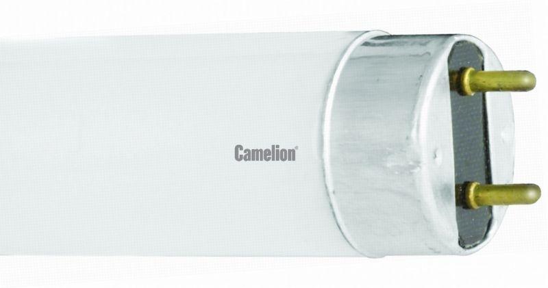 Фото Camelion 5876