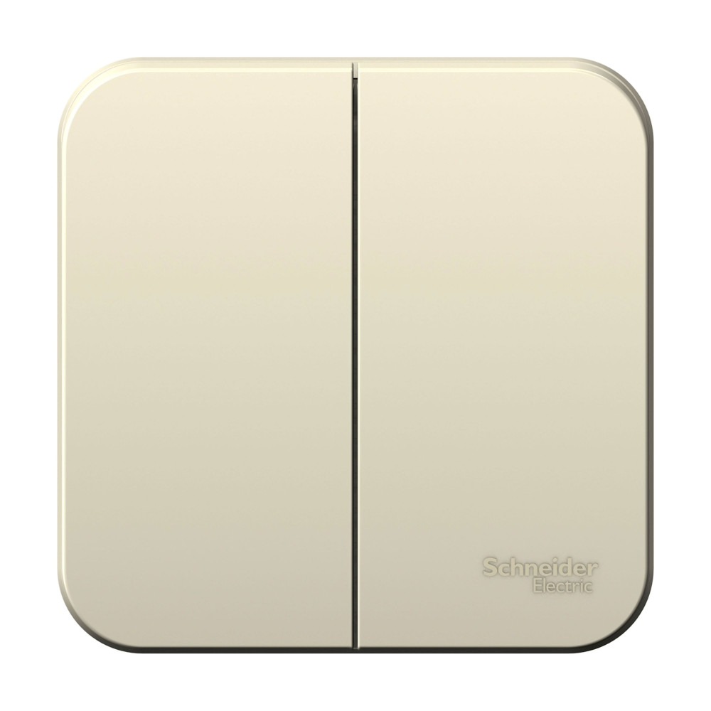 Фото Systeme Electric BLNVA065002