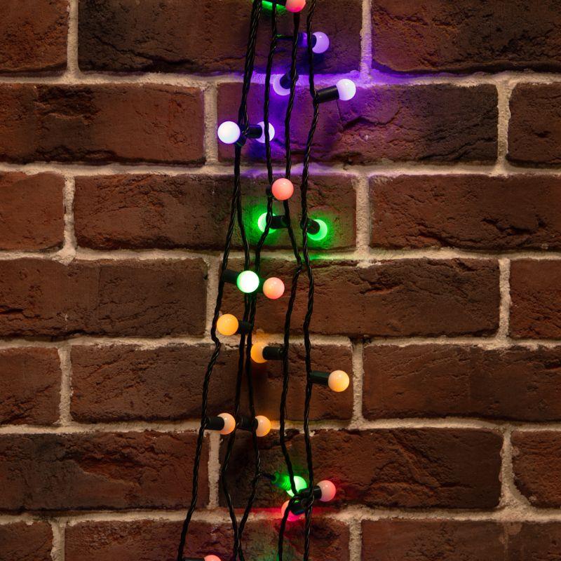 Фото Neon-Night 303-509-6