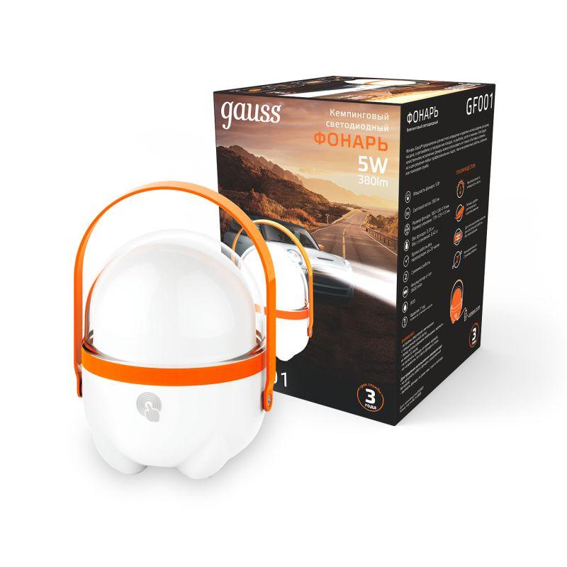 Фото GAUSS GF001