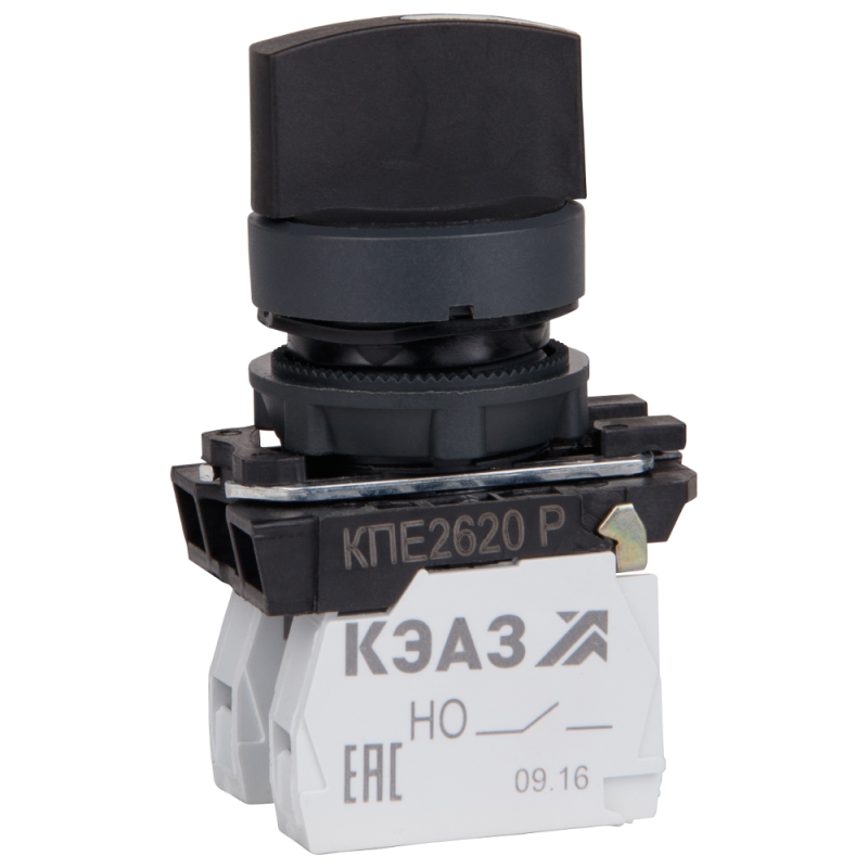 Фото КЭАЗ 248268