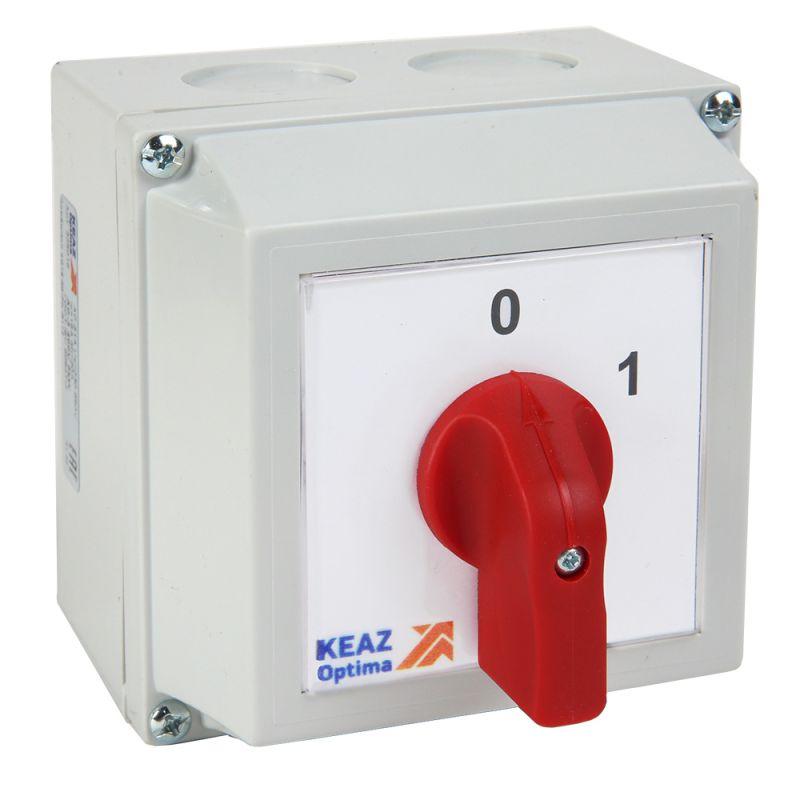 Фото КЭАЗ 225209