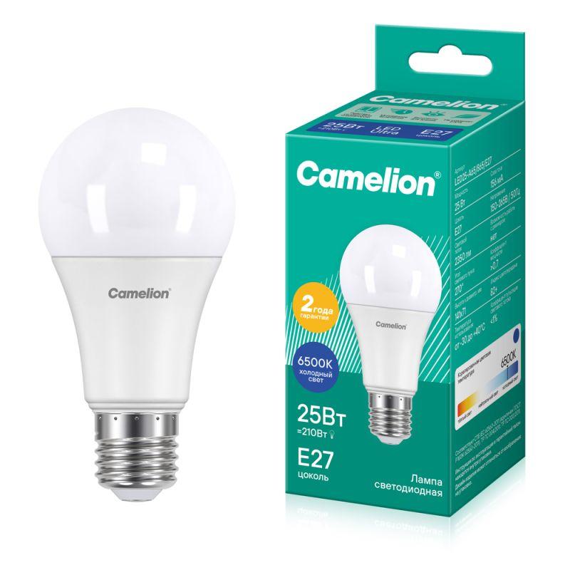 Фото Camelion 13573