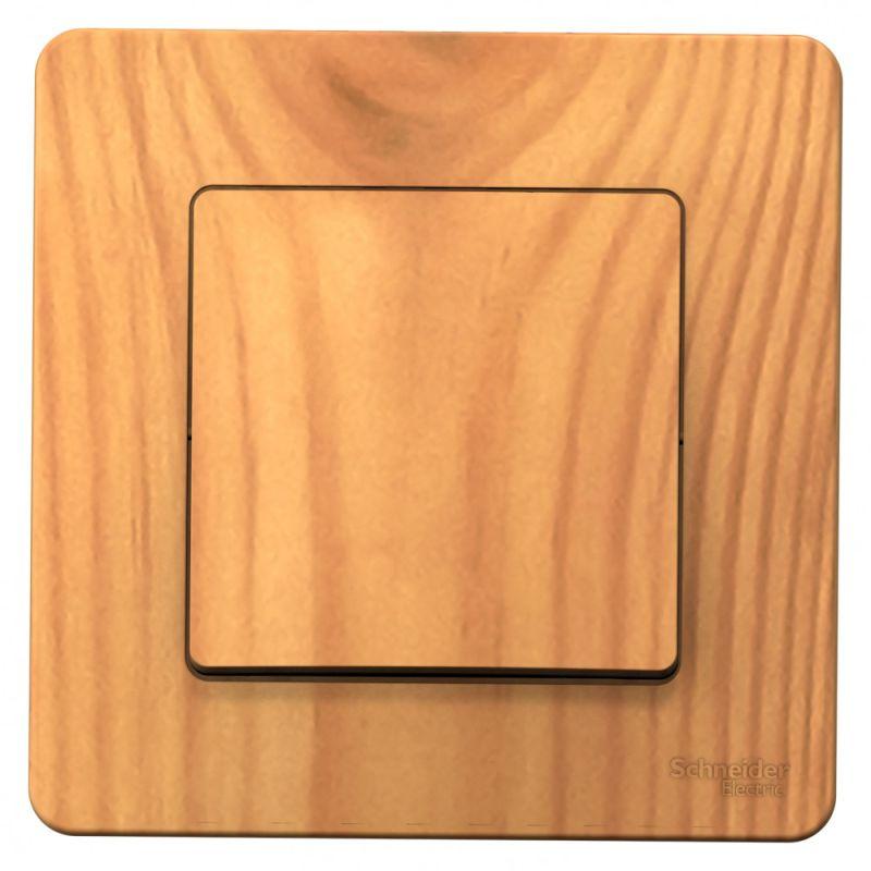 Фото Systeme Electric BLNVS010105