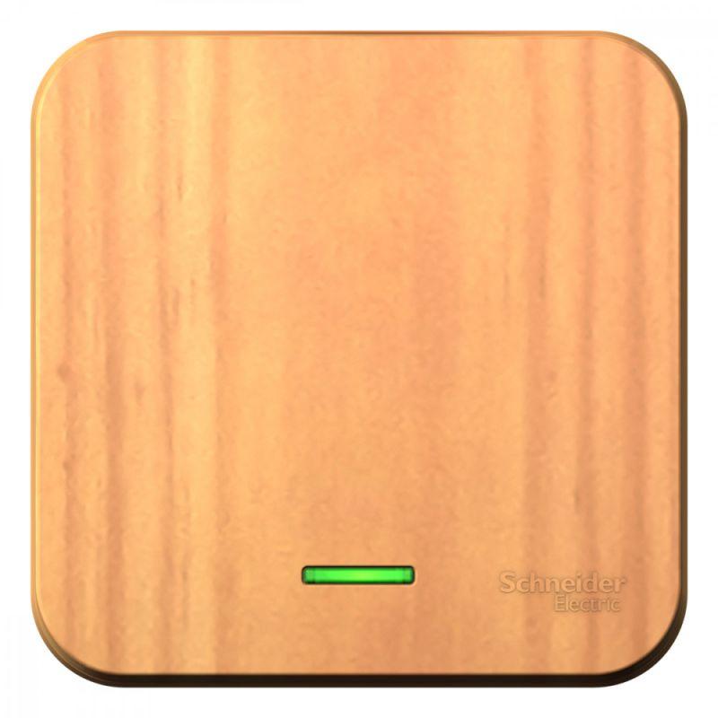 Фото Systeme Electric BLNVA101105
