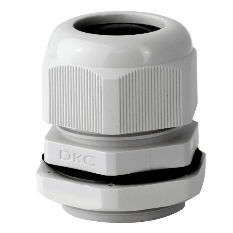 Фото DKC 52800