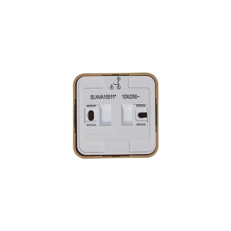 Фото Systeme Electric BLNVA105115