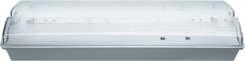 Фото NAVIGATOR 61496