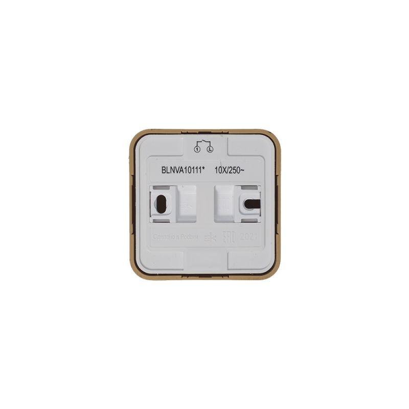Фото Systeme Electric BLNVA101115
