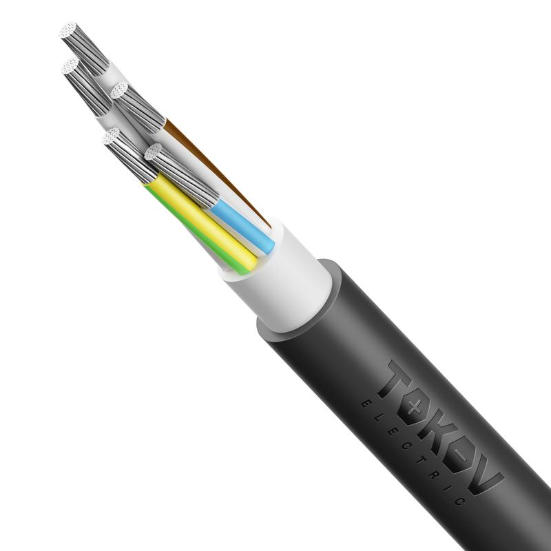 Фото TOKOV ELECTRIC КПП 00-00072436