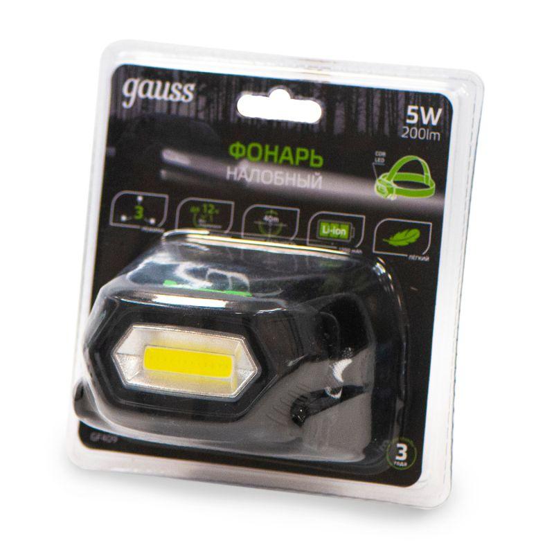 Фото GAUSS GF409