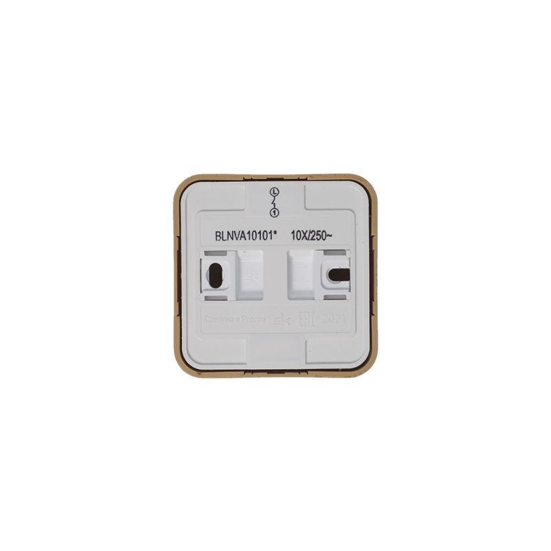 Фото Systeme Electric BLNVA101015