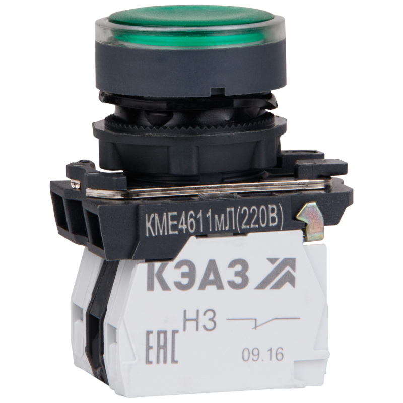 Фото КЭАЗ 274304
