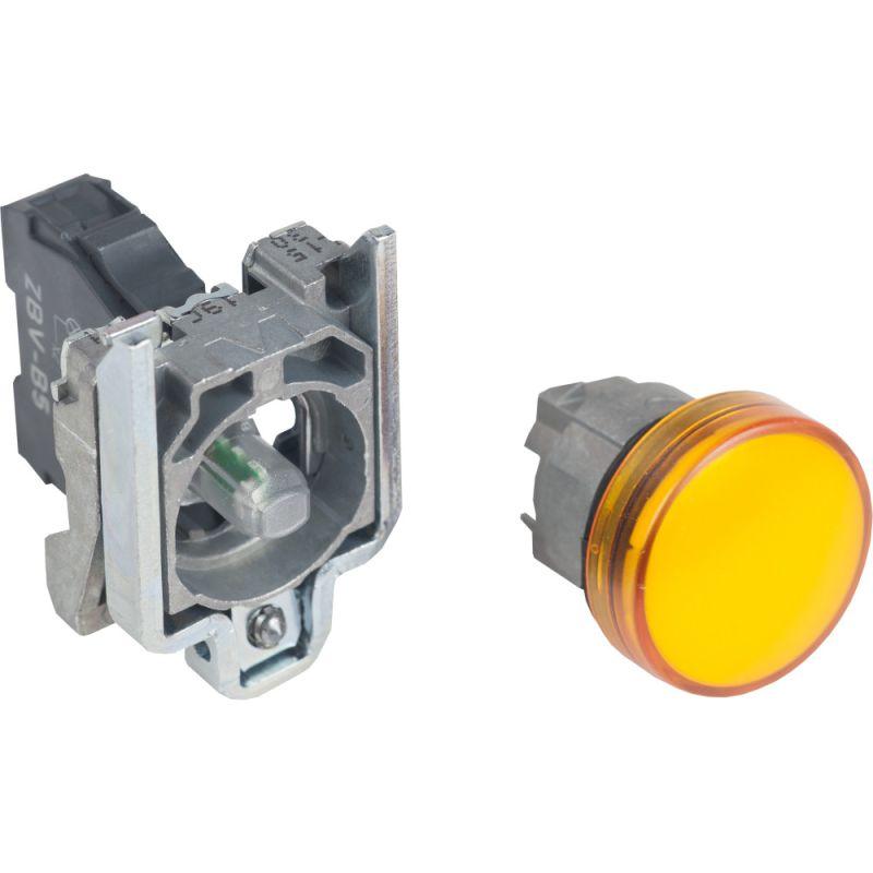 Фото Schneider Electric XB4BVB5