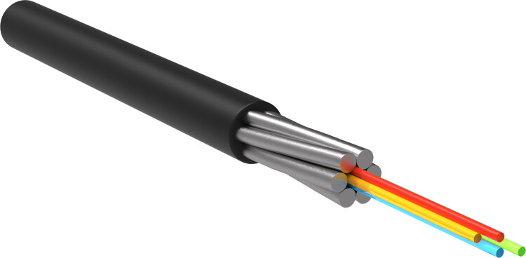 Фото ITK 