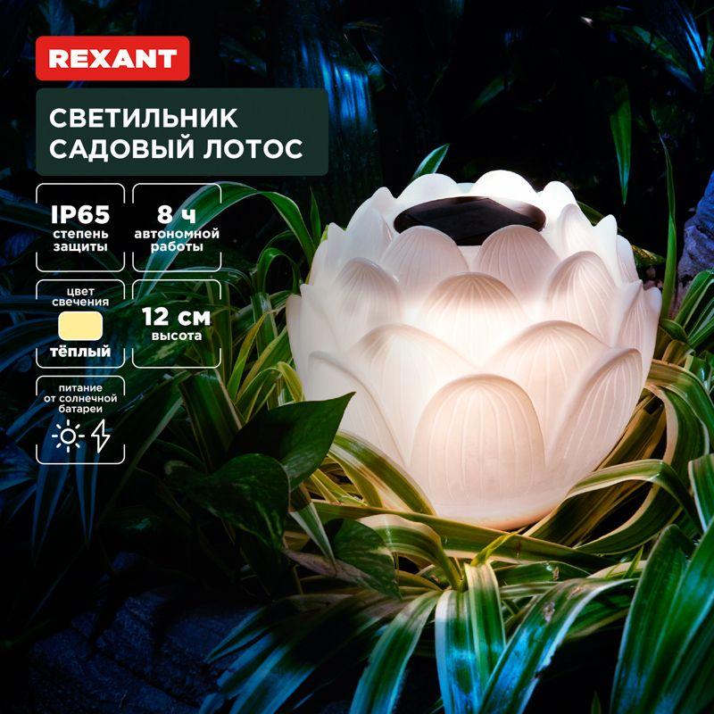Фото Rexant 602-2431