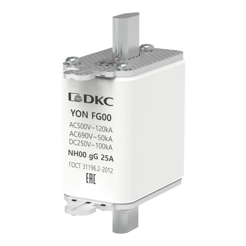Фото YON (группа DKC) 1FG00-0025